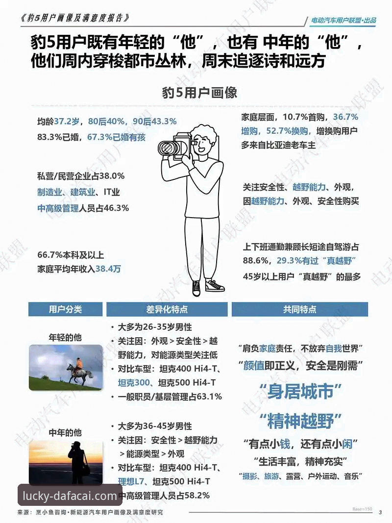 资深用户揭秘：大发彩票在线官方下载实战经验与深度评测